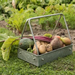 Planting Tray / Trug -Plant Verdant Sales pr2000028415 card3 lg