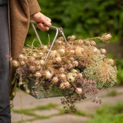 Planting Tray / Trug -Plant Verdant Sales pr2000028415 card7 lg