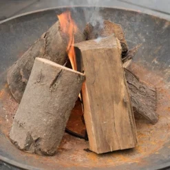 Fire Starter Dome -Plant Verdant Sales pr2000028456 card3 lg