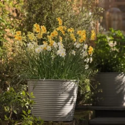 Ribbed Zinc Planter 12 Ribbed Zinc Planter -Plant Verdant Sales pr2000028781 card3 lg