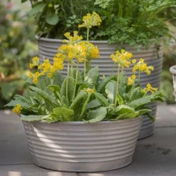 Ribbed Zinc Planter 15 Ribbed Zinc Planter -Plant Verdant Sales pr2000028781 card6 lg
