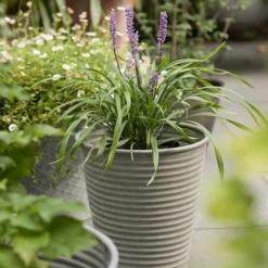 Ribbed Zinc Planter 16 Ribbed Zinc Planter -Plant Verdant Sales pr2000028781 card7 lg