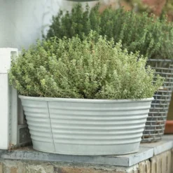 Ribbed Zinc Planter 17 Ribbed Zinc Planter -Plant Verdant Sales pr2000028781 card8 lg