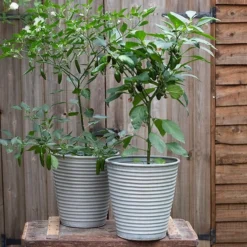 Ribbed Zinc Planter 18 Ribbed Zinc Planter -Plant Verdant Sales pr2000028781 card9 lg