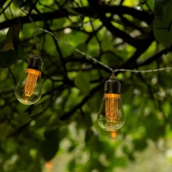 Edison Style Bulb LED Light String 9 Edison Style Bulb LED Light String -Plant Verdant Sales pr2000029221 card4 lg