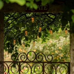 Edison Style Bulb LED Light String 10 Edison Style Bulb LED Light String -Plant Verdant Sales pr2000029221 card5 lg