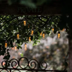 Edison Style Bulb LED Light String 11 Edison Style Bulb LED Light String -Plant Verdant Sales pr2000029221 card6 lg