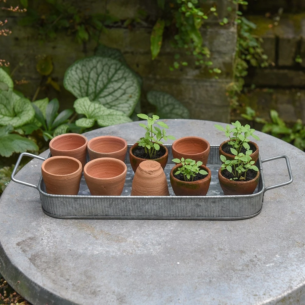 Terracotta Grow Pots - Set Of 10 With Tray 3 Terracotta Grow Pots - Set Of 10 With Tray - Image 3