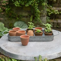 Terracotta Grow Pots - Set Of 10 With Tray 12 Terracotta Grow Pots - Set Of 10 With Tray -Plant Verdant Sales pr2000029288 card4 lg