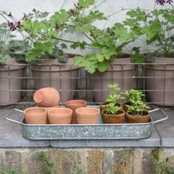 Terracotta Grow Pots - Set Of 10 With Tray 14 Terracotta Grow Pots - Set Of 10 With Tray -Plant Verdant Sales pr2000029288 card6 lg