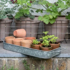 Terracotta Grow Pots - Set Of 10 With Tray 15 Terracotta Grow Pots - Set Of 10 With Tray -Plant Verdant Sales pr2000029288 card7 lg