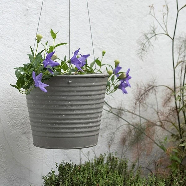 Hanging Aged Ribbed Planter 2 Hanging Aged Ribbed Planter - Image 2