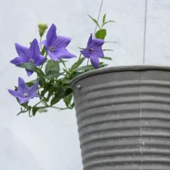 Hanging Aged Ribbed Planter 10 Hanging Aged Ribbed Planter -Plant Verdant Sales pr2000031414 card3 lg