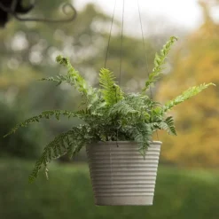 Hanging Aged Ribbed Planter 12 Hanging Aged Ribbed Planter -Plant Verdant Sales pr2000031414 card5 lg