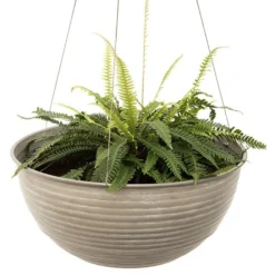 Hanging Aged Ribbed Bowl -Plant Verdant Sales pr2000031455 card3 lg