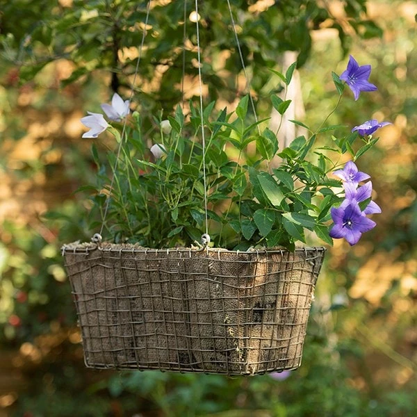 Rectangular Net Hanging Basket 2 Rectangular Net Hanging Basket - Image 2