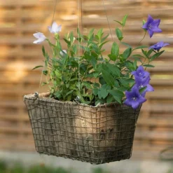 Rectangular Net Hanging Basket 11 Rectangular Net Hanging Basket -Plant Verdant Sales pr2000031461 card3 lg