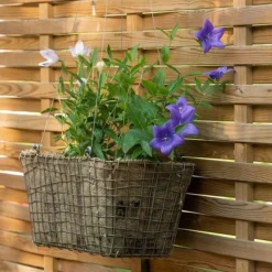 Rectangular Net Hanging Basket 13 Rectangular Net Hanging Basket -Plant Verdant Sales pr2000031461 card5 lg
