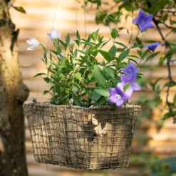 Rectangular Net Hanging Basket 15 Rectangular Net Hanging Basket -Plant Verdant Sales pr2000031461 card7 lg