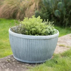 Zinc Dolly Bowl -Plant Verdant Sales pr2000031493 card4 lg