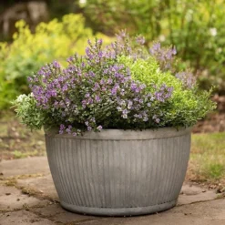 Zinc Dolly Bowl -Plant Verdant Sales pr2000031493 card5 lg