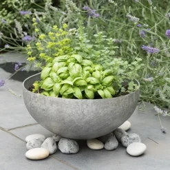 Sphere Plant Bowl 10 Sphere Plant Bowl -Plant Verdant Sales pr2000031495 card3 lg
