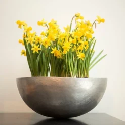 Sphere Plant Bowl 13 Sphere Plant Bowl -Plant Verdant Sales pr2000031495 card6 lg