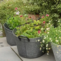 Oval Tub With Handles/drinks Cooler 9 Oval Tub With Handles/drinks Cooler -Plant Verdant Sales pr2000031502 card3 lg