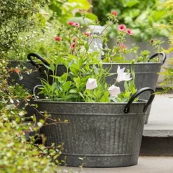 Oval Tub With Handles/drinks Cooler 11 Oval Tub With Handles/drinks Cooler -Plant Verdant Sales pr2000031502 card5 lg