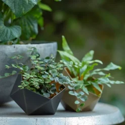 Geo Tealight Holder -Plant Verdant Sales pr2000031511 card10 lg