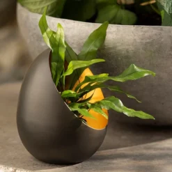 Angled Tealight Holder 12 Angled Tealight Holder -Plant Verdant Sales pr2000031512 card7 lg