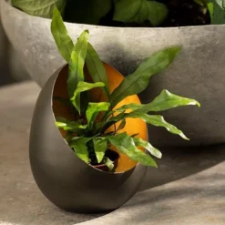 Angled Tealight Holder 13 Angled Tealight Holder -Plant Verdant Sales pr2000031512 card8 lg