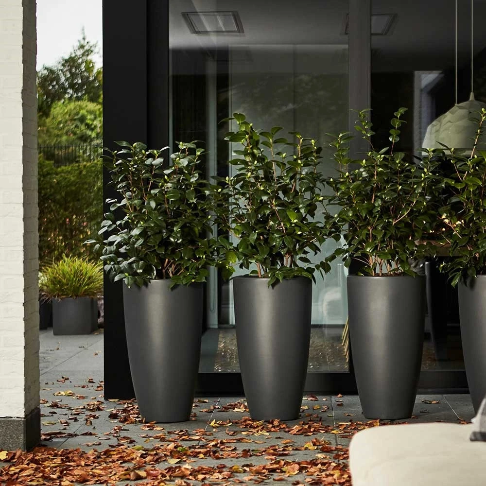 Pure Soft Round High Pot Anthracite 2 Pure Soft Round High Pot Anthracite - Image 2