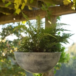 Hanging Bowl - Aged Zinc 8 Hanging Bowl - Aged Zinc -Plant Verdant Sales pr2000033957 card3 lg