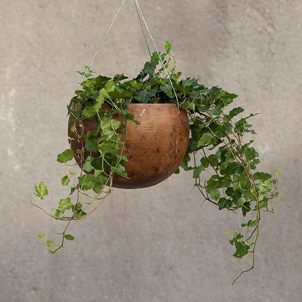 Hanging Gourd Bowl - Dark Rust 2 Hanging Gourd Bowl - Dark Rust - Image 2