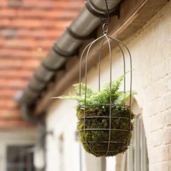 Hanging Plant Cage - Tall -Plant Verdant Sales pr2000033992 card3 lg