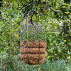 Hanging Plant Cage - Tall -Plant Verdant Sales pr2000033992 card4 lg