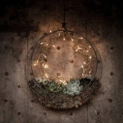 Hanging Wreath Basket -Plant Verdant Sales pr2000033995 card5 lg