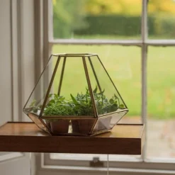 Terrarium With Brass Base Tray -Plant Verdant Sales pr2000034059 card3 lg