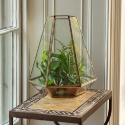 Terrarium With Brass Base Tray -Plant Verdant Sales pr2000034059 card4 lg