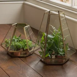 Terrarium With Brass Base Tray -Plant Verdant Sales pr2000034059 card6 lg