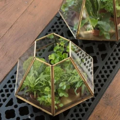 Terrarium With Brass Base Tray -Plant Verdant Sales pr2000034059 card7 lg