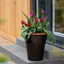 Glazed Terracotta Pot - Black 19 Glazed Terracotta Pot - Black -Plant Verdant Sales pr2000034127 card11 lg