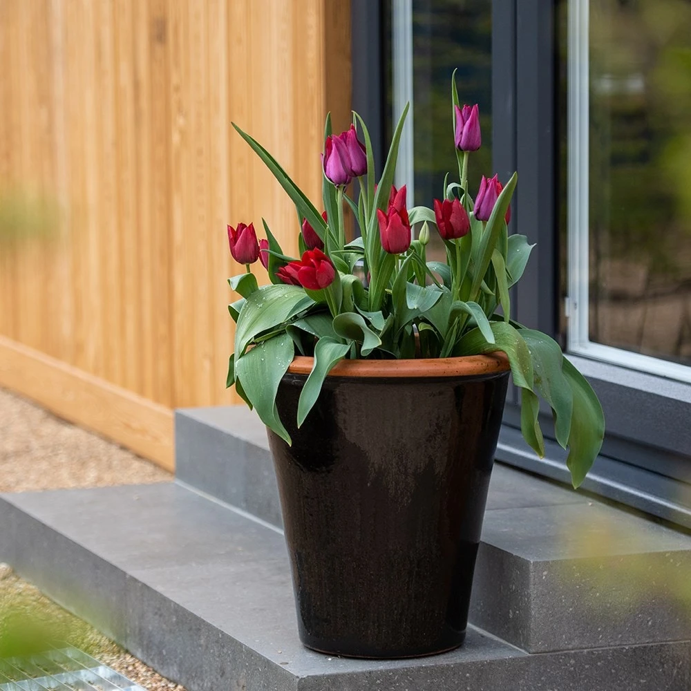 Glazed Terracotta Pot - Black 10 Glazed Terracotta Pot - Black - Image 10