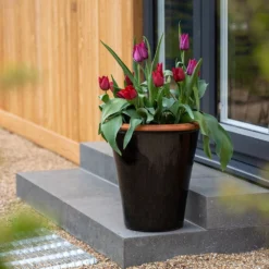 Glazed Terracotta Pot - Black 12 Glazed Terracotta Pot - Black -Plant Verdant Sales pr2000034127 card3 lg