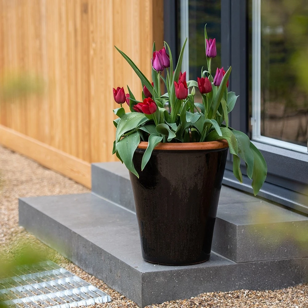 Glazed Terracotta Pot - Black 3 Glazed Terracotta Pot - Black - Image 3