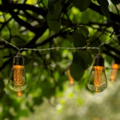 LED Edison Bulb String - Connectable -Plant Verdant Sales pr2000034876 card5 lg