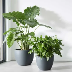 Pure Soft Round Pot With Wheels Anthracite