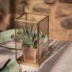 Simple Terrarium / Tealight Holder With Tray Base -Plant Verdant Sales pr2000037497 card4 lg