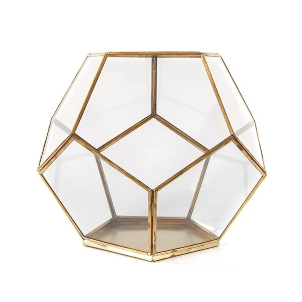 Pentagon Terrarium With Tray Base 2 Pentagon Terrarium With Tray Base - Image 2